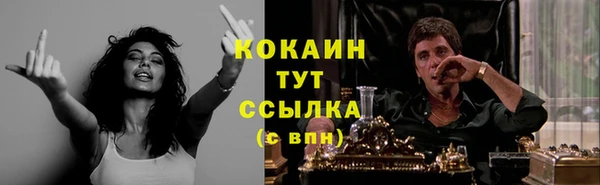 шишки Волосово