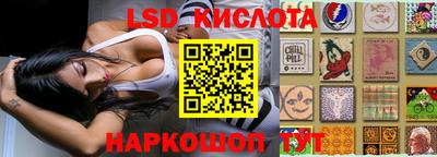 гидропоника Будённовск