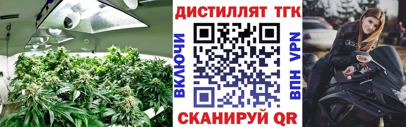 Дистиллят ТГК вейп  цены   ОМГ ОМГ маркетплейс  Волгодонск 