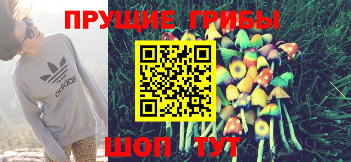 Галлюциногенные грибы прущие грибы  Вход с VPN  Волгодонск 