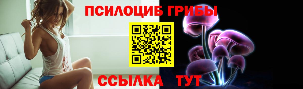Псилоцибиновые грибы Psilocybine cubensis Волгодонск